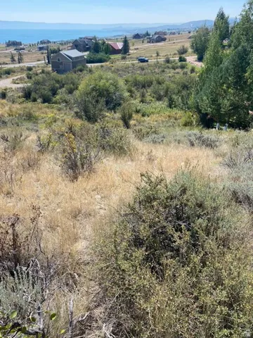 View of local wilderness