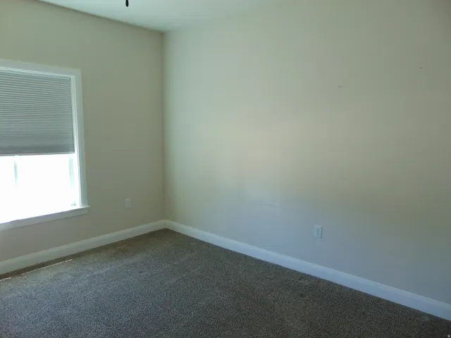 Neutral tone painted walls featuring white trim