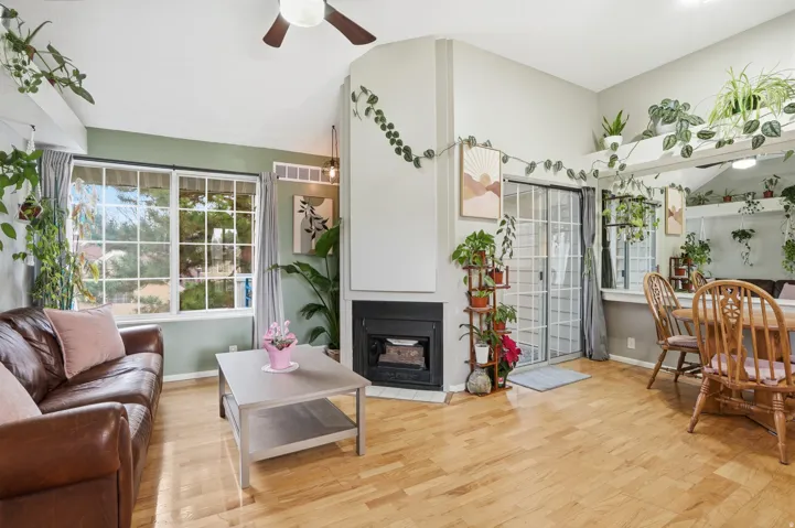 Living room featuring light wood-type flooring, a ceiling fan, a fireplace with flush hearth, and lofted ceiling