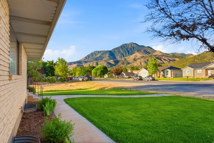Expansive front lawn with a concrete walkway, bordered by mature plantings