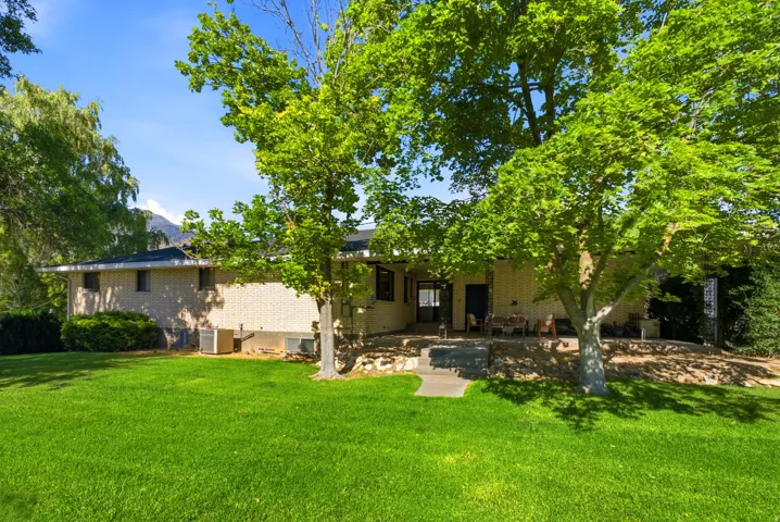 Expansive green lawn with mature trees providing natural shading