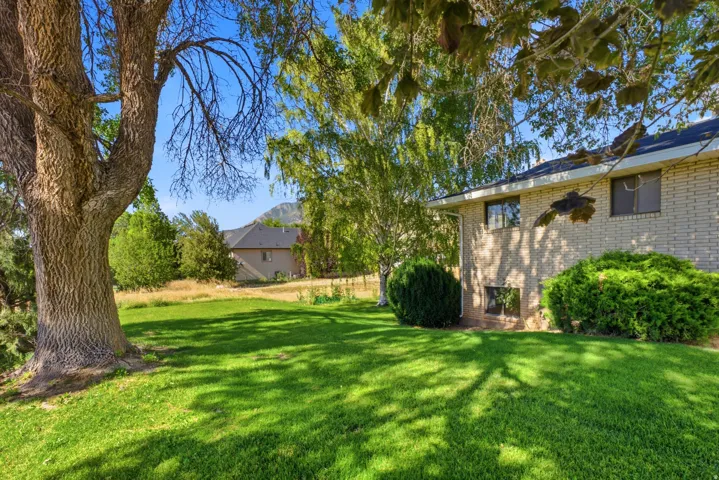 Expansive green lawn with mature trees providing partial shade