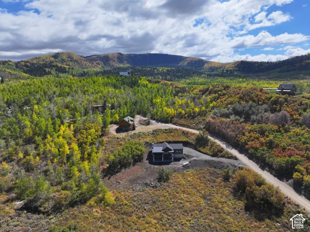 View of mountain background with a heavily wooded area