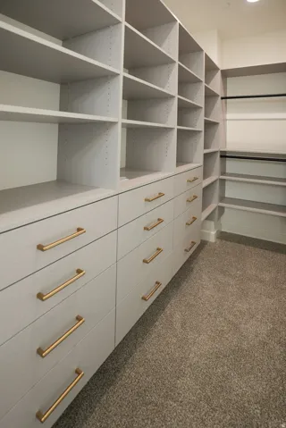 Walk in closet featuring dark colored carpet