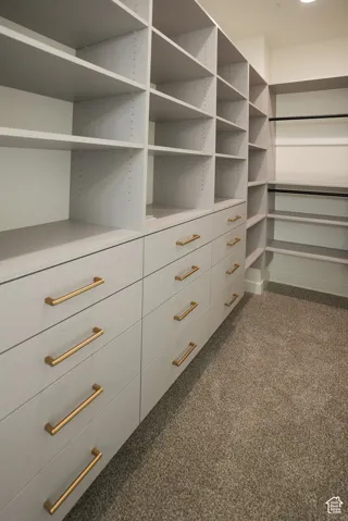 Walk in closet featuring dark colored carpet