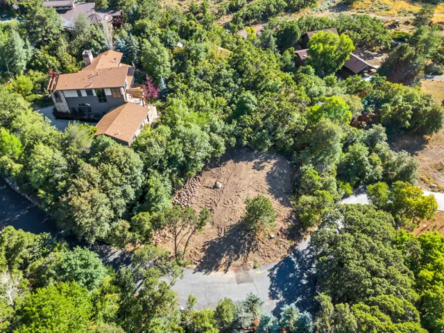 Aerial view of a tree filled landscape