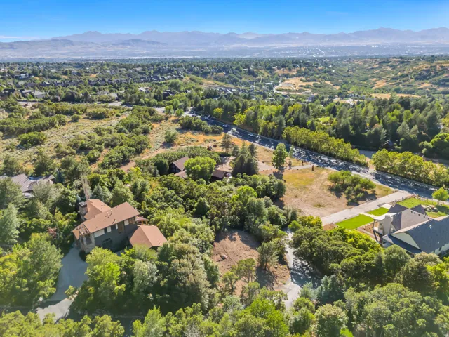 Drone / aerial view of a mountainous background