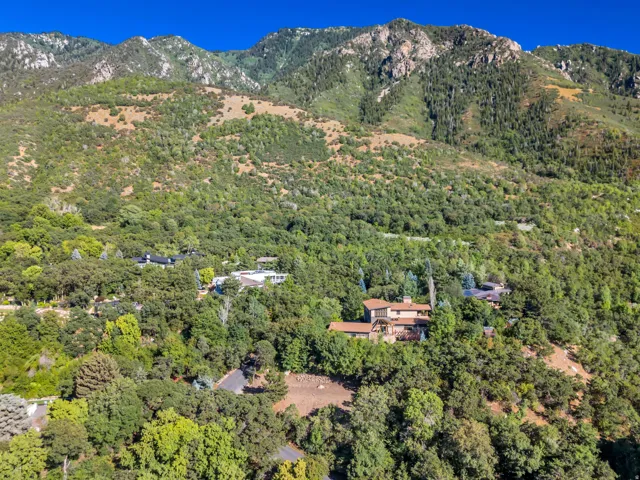 Aerial view of a mountain backdrop and a heavily wooded area