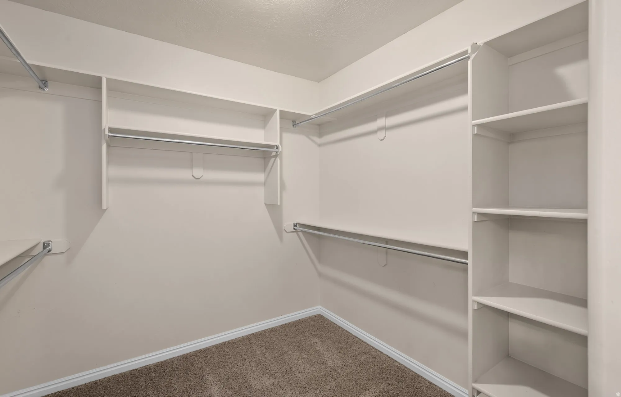Spacious Walk-in closet with carpet