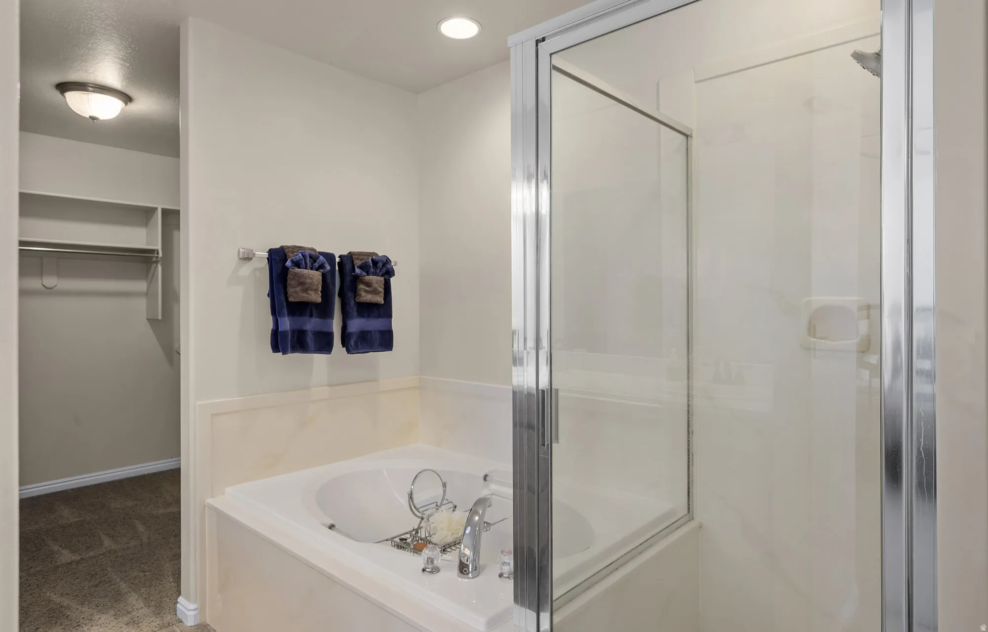 Master bathroom with a shower stall, a bath, a walk in closet, carpet, and recessed lighting