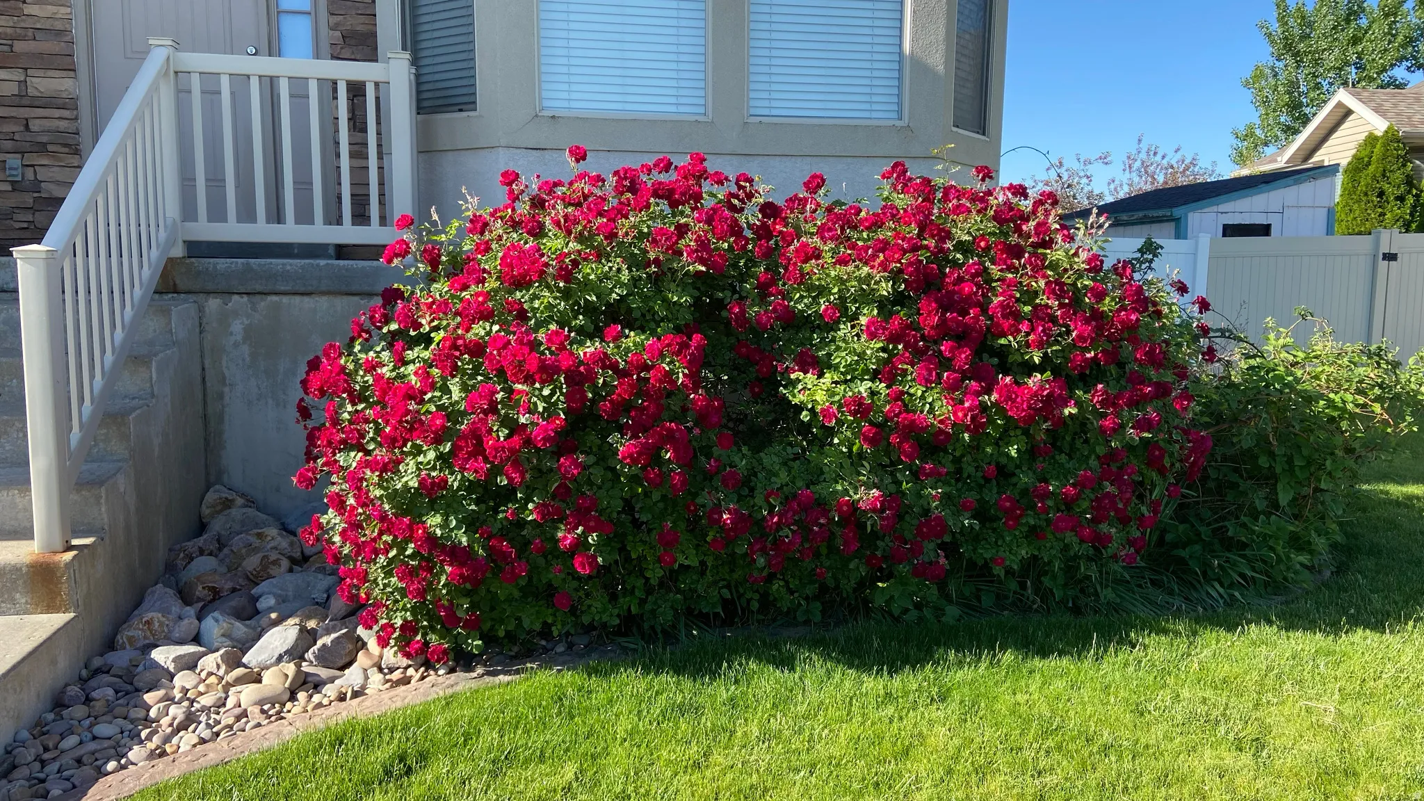 Exterior Viiew featuring beautiful rose bushes