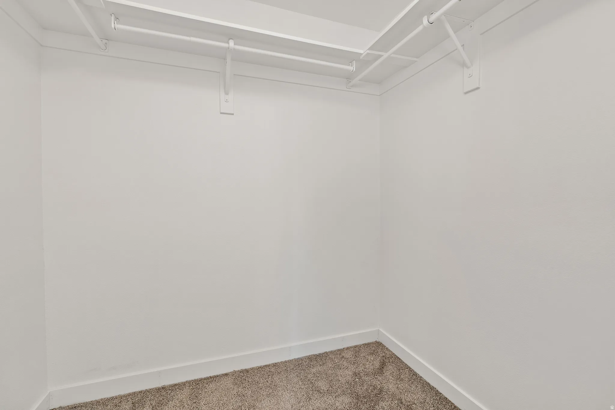 Walk in closet with carpet flooring