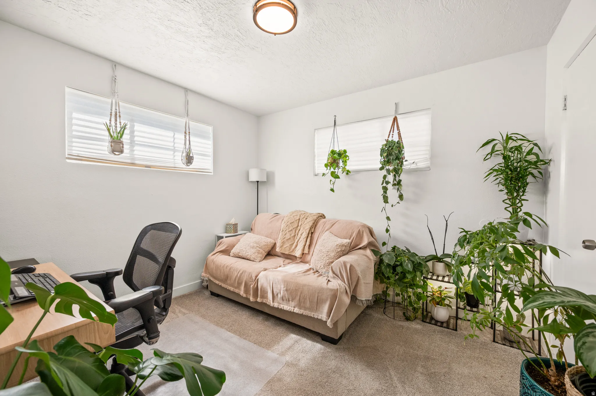 Office area featuring carpet flooring and a textured ceiling