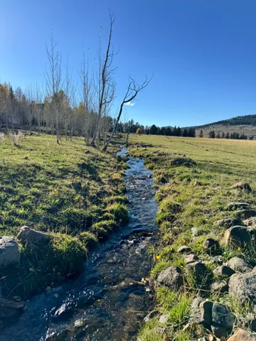 View of yard with a water view