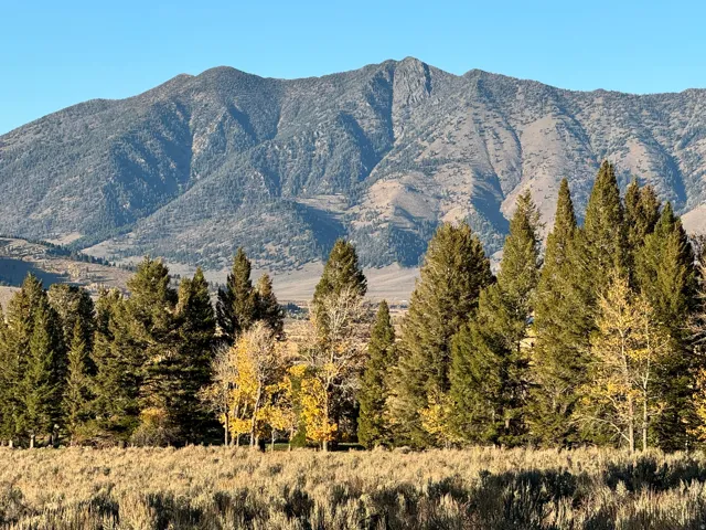 Mountain view