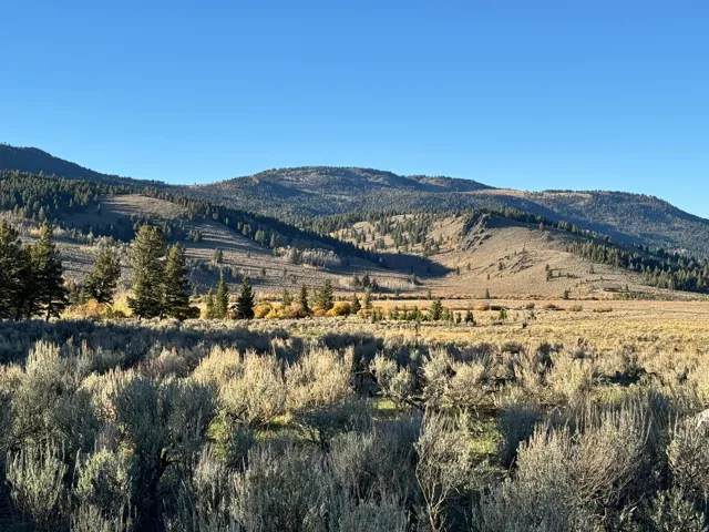 Mountain view