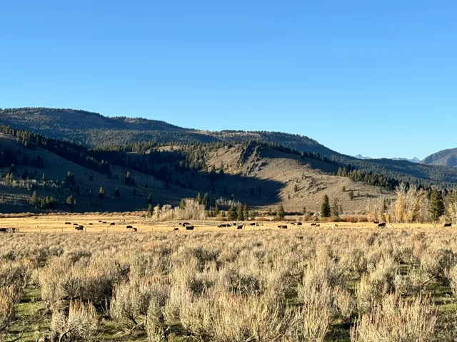 View of mountain background