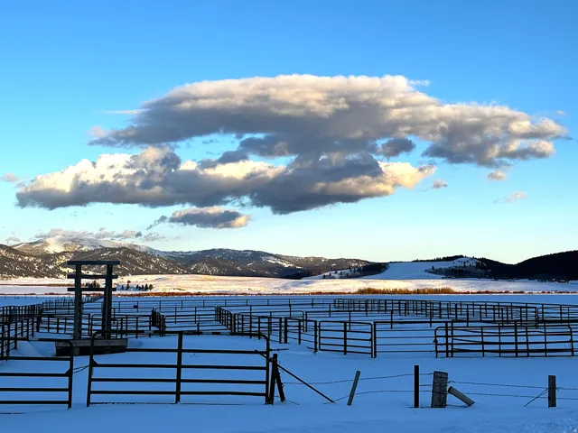 Yard covered in snow with a mountain view