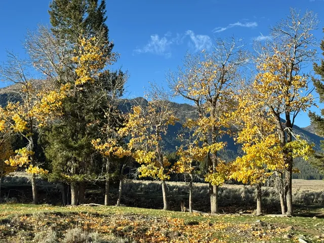Mountain view