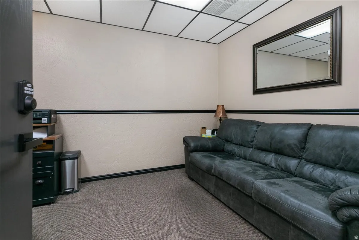 Carpeted living room with a paneled ceiling and baseboards