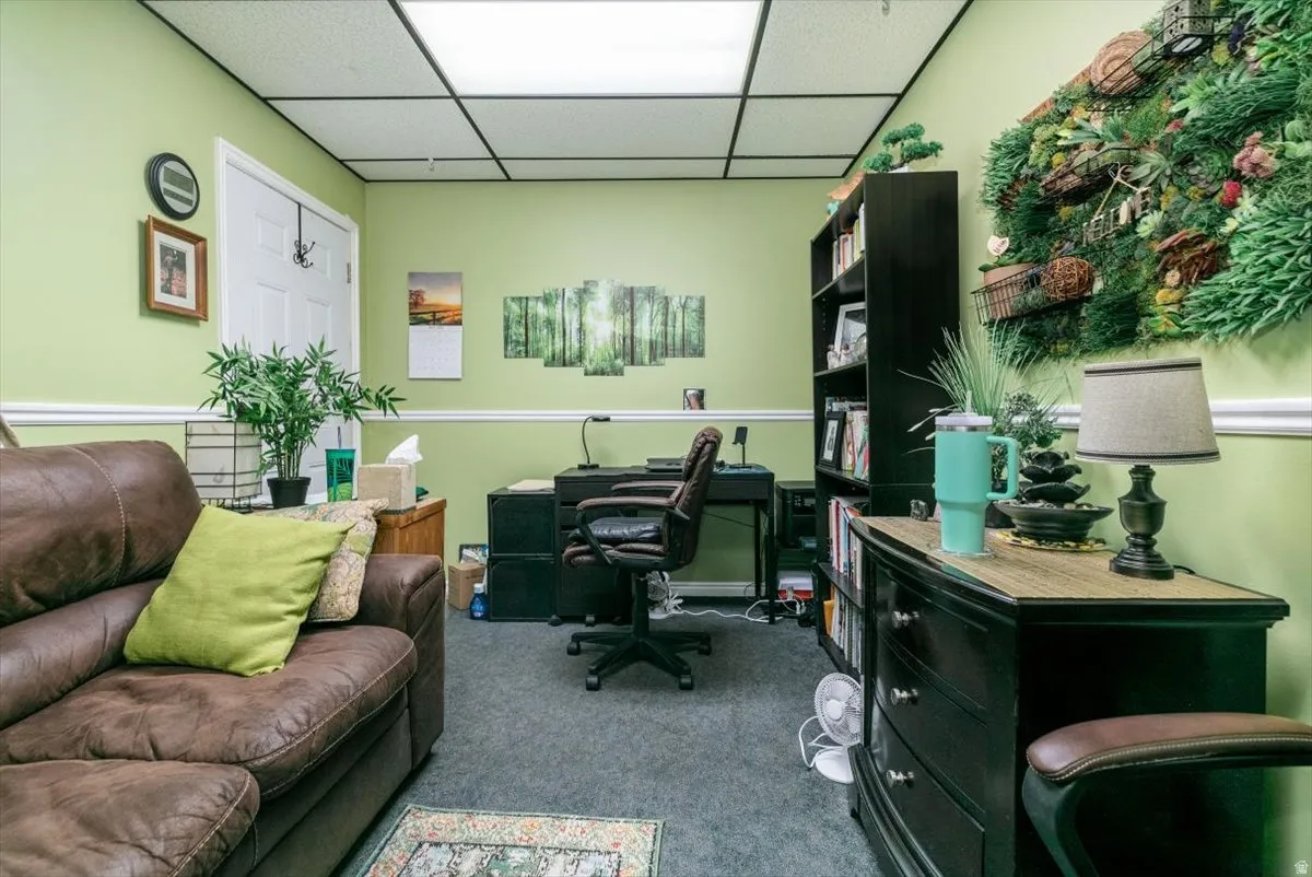Carpeted office space with a drop ceiling