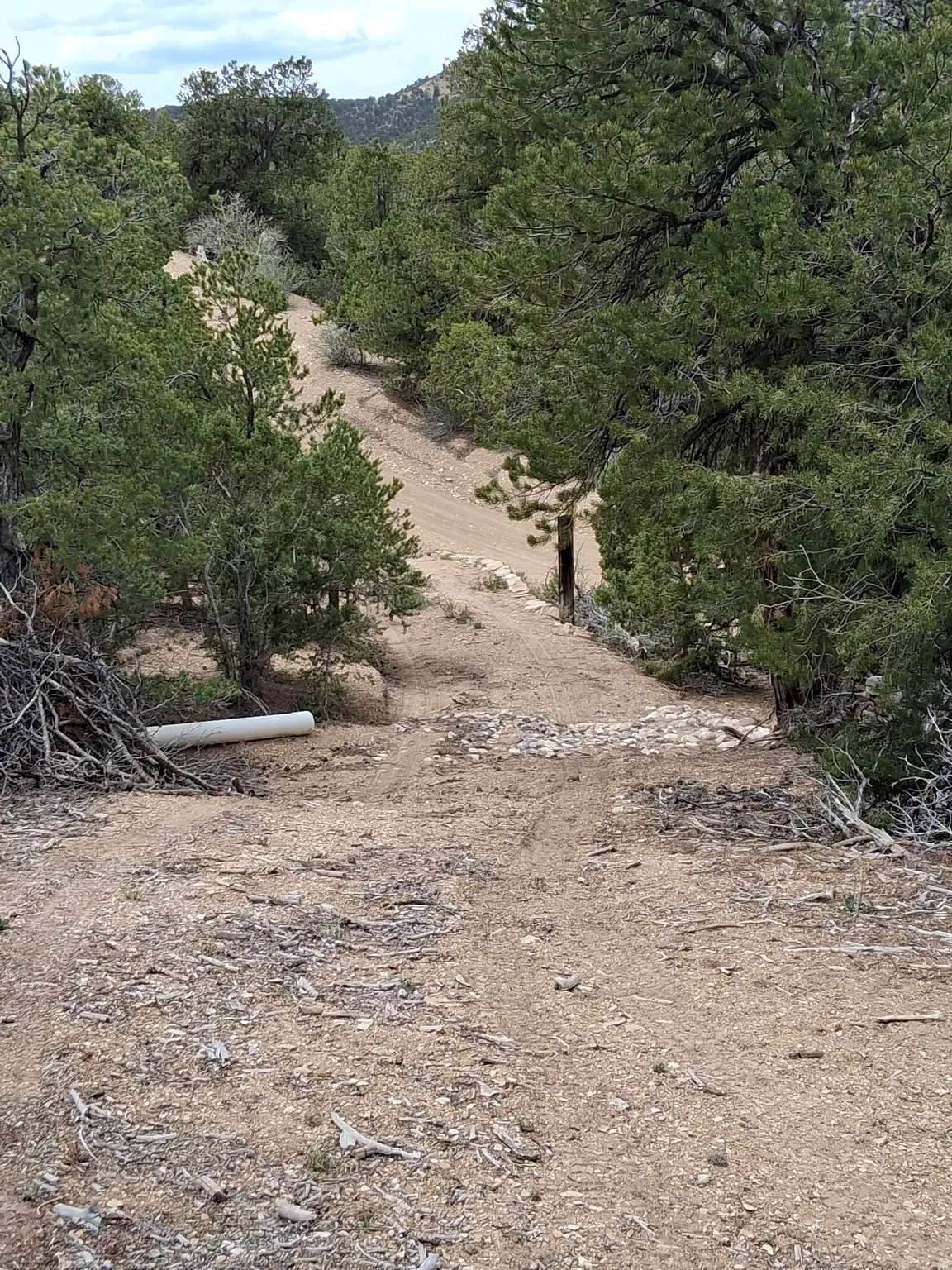 Looking Back at road from entrance