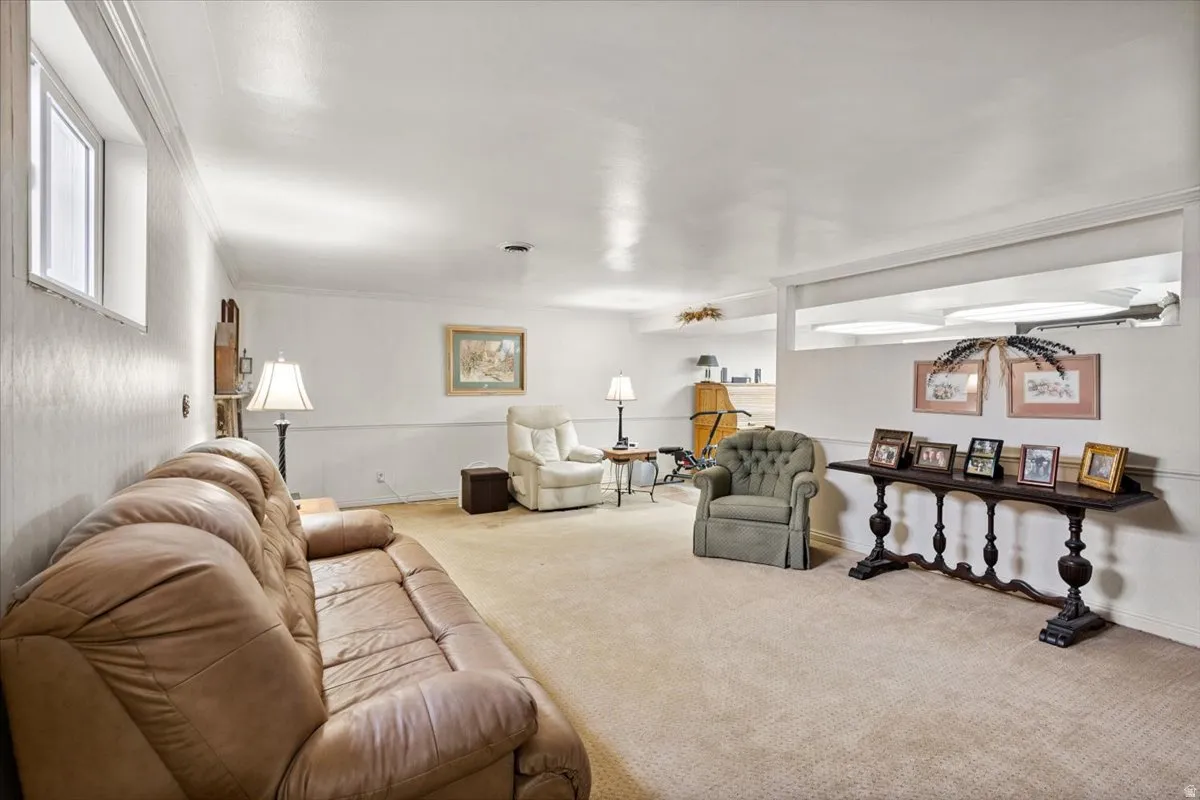 Family room featuring carpet floors and crown molding