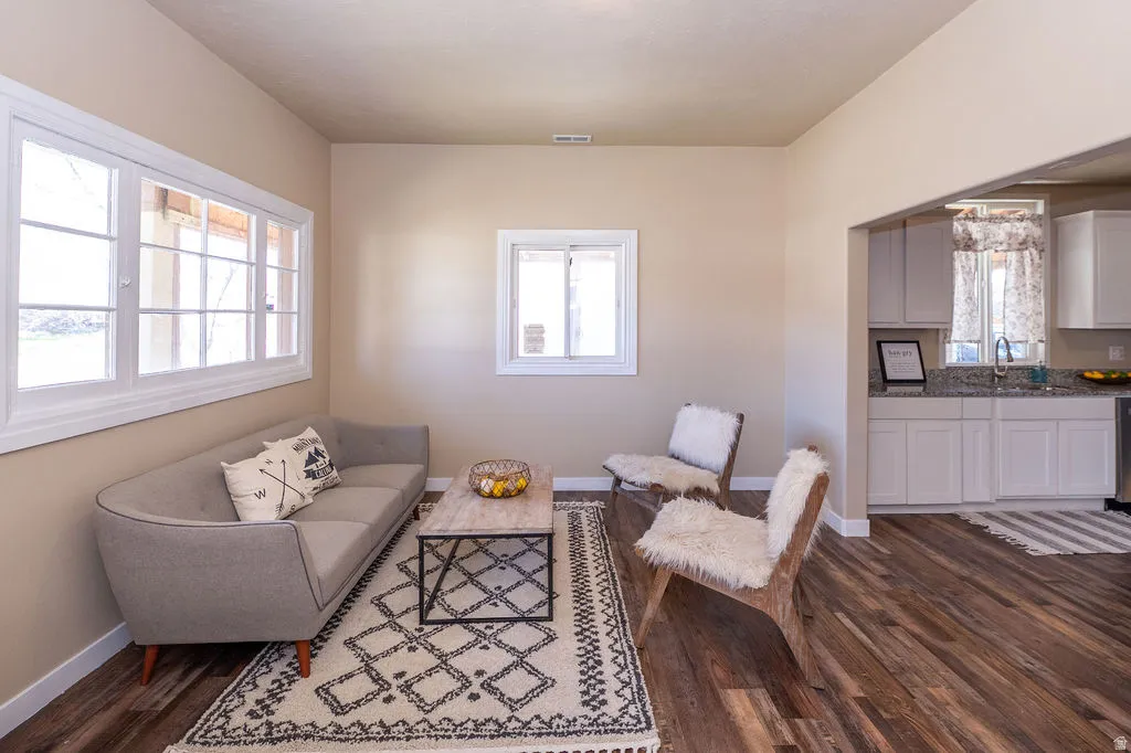 Living room featuring dark wood-style flooring and plenty of natural light