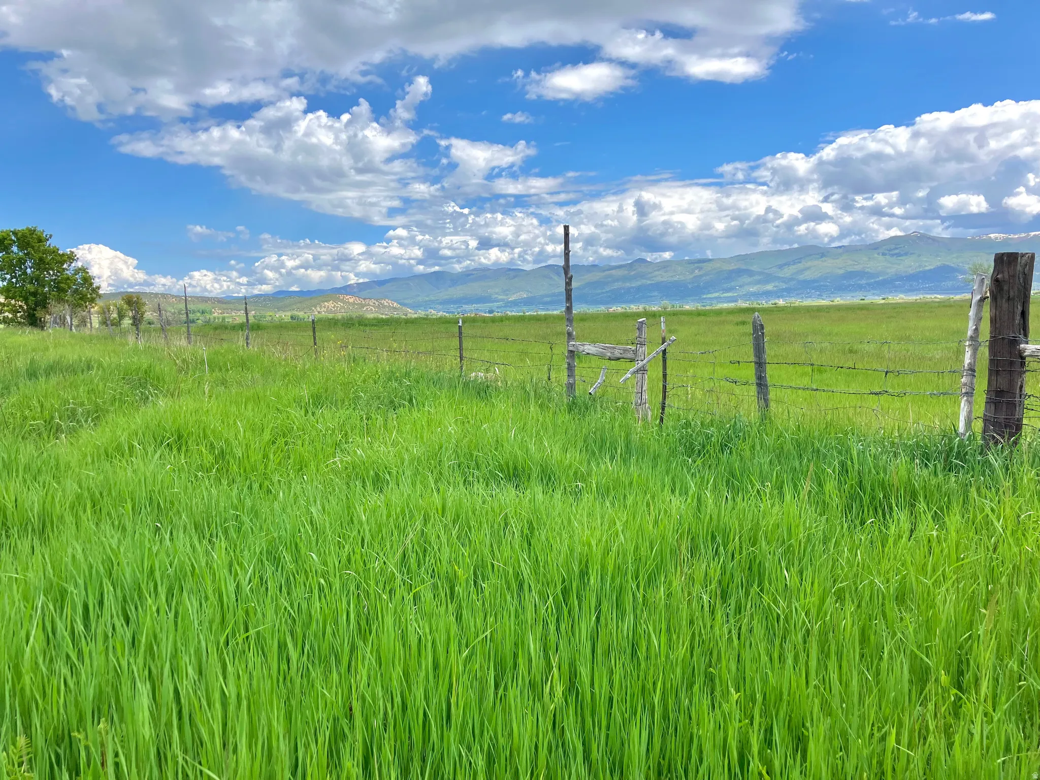 View of yard with a mountain view and a rural view
