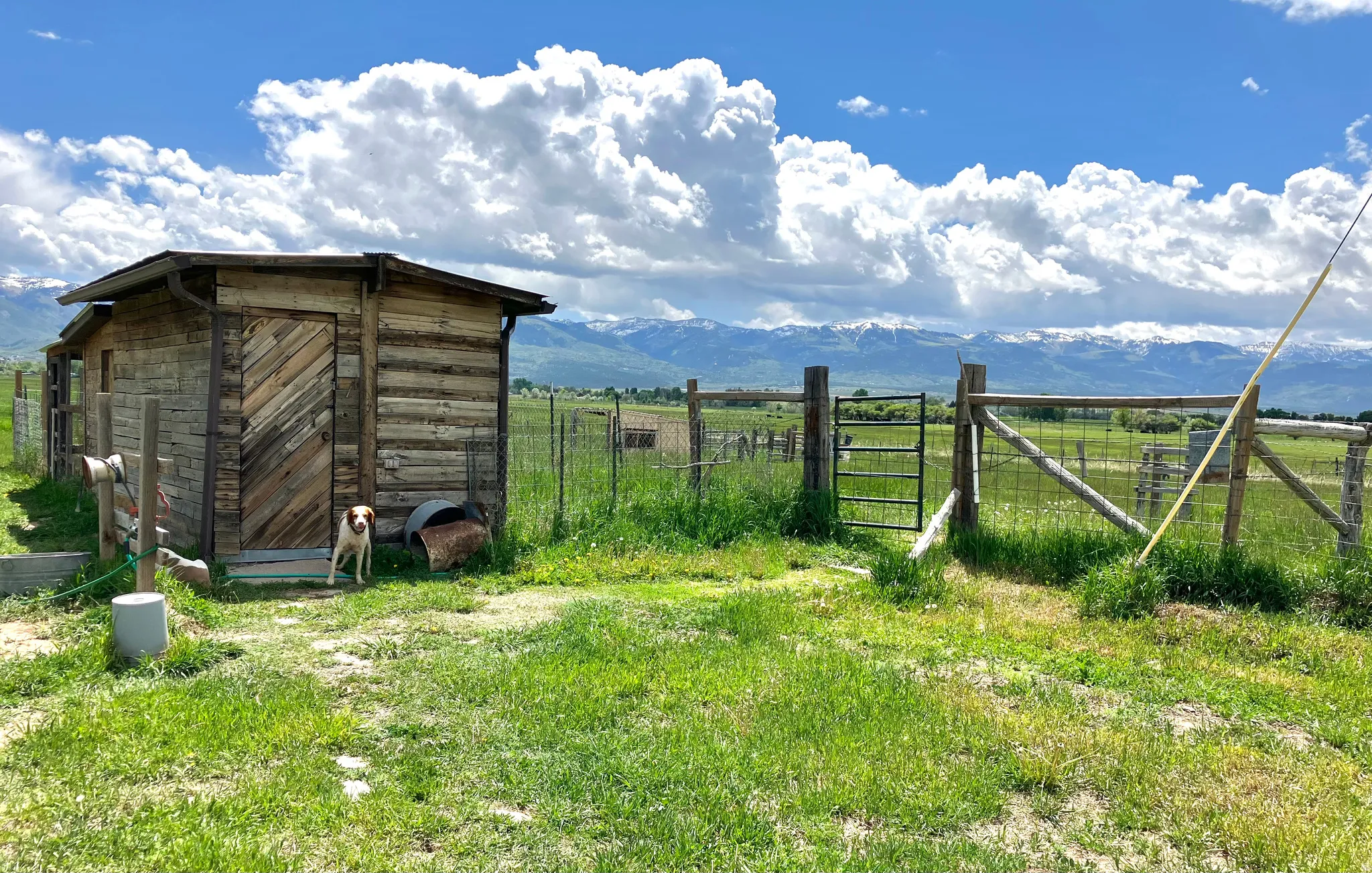 View of yard with a mountain view, a rural view, a shed, and a gate