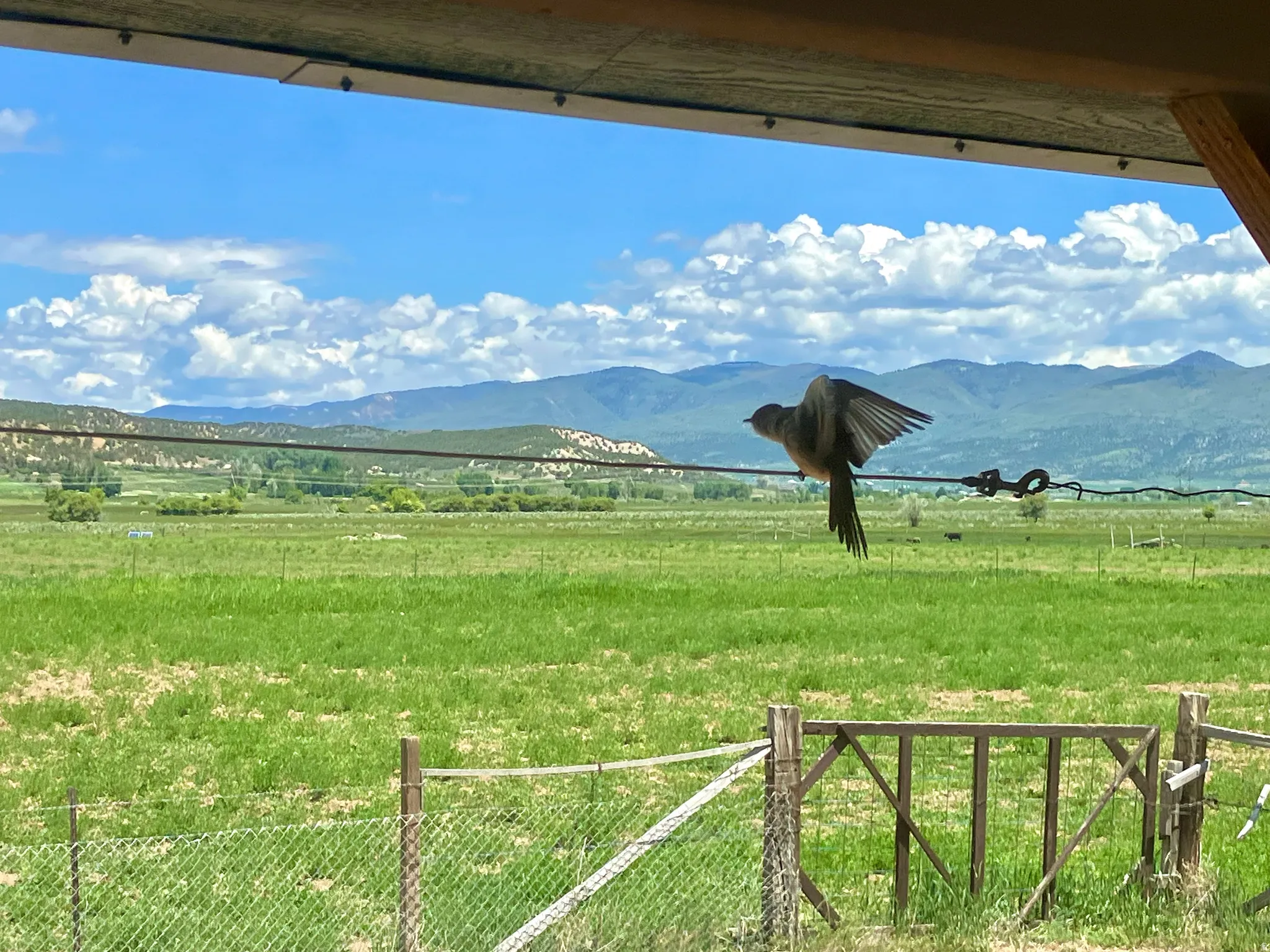 View of mountain background featuring agricultural land and rural landscape