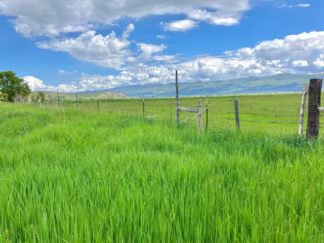 View of yard with a mountain view and a rural view
