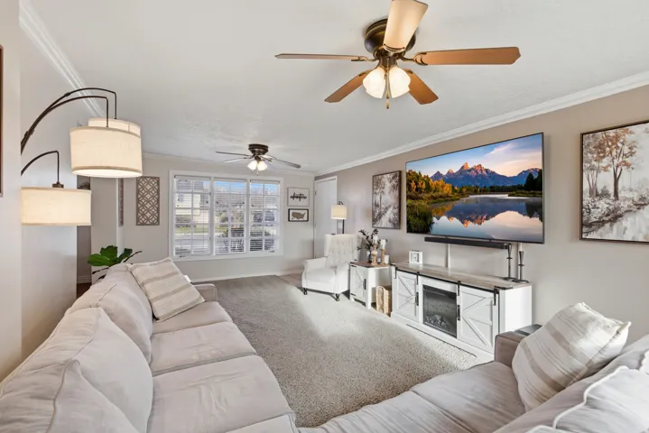 Carpeted living room featuring ornamental molding and ceiling fan