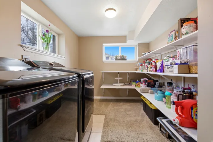 Laundry area with light carpet and independent washer and dryer