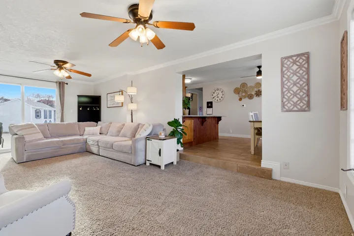 Living room with light carpet, crown molding, and a ceiling fan