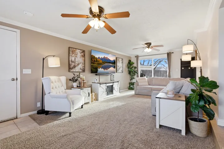 Living room featuring crown molding, a ceiling fan, and light colored carpet