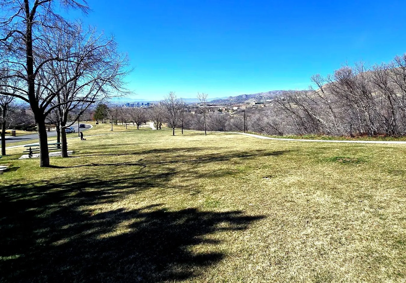 Nearby park with lots of playground equipment and walking trails.