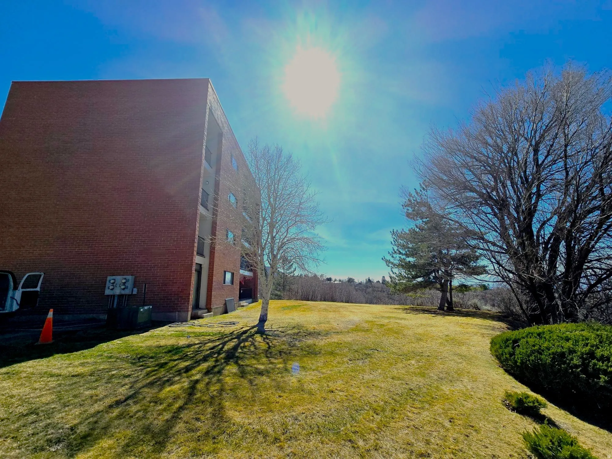 View of grassy yard