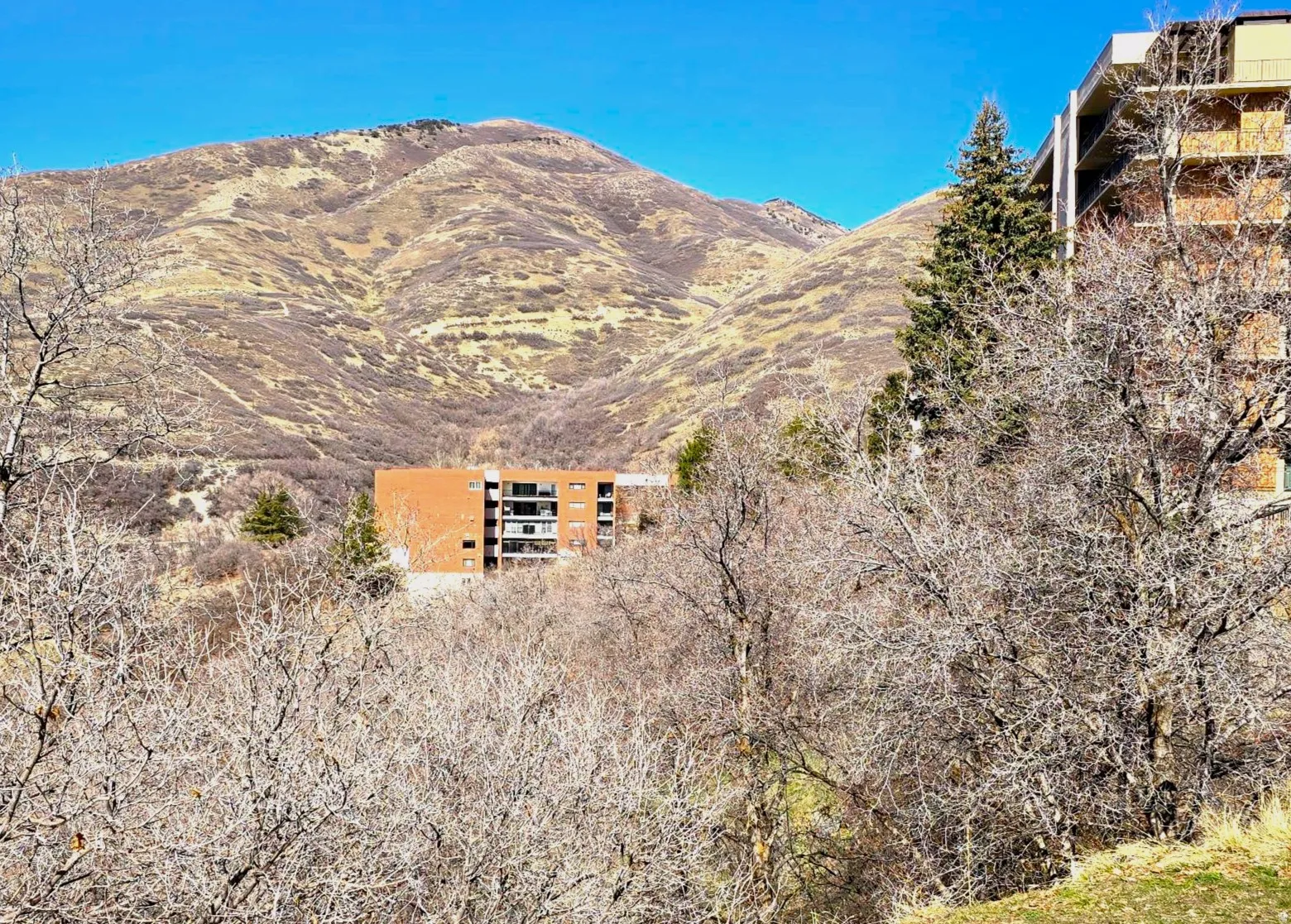 View of the project located at the end of a cul-de-sac