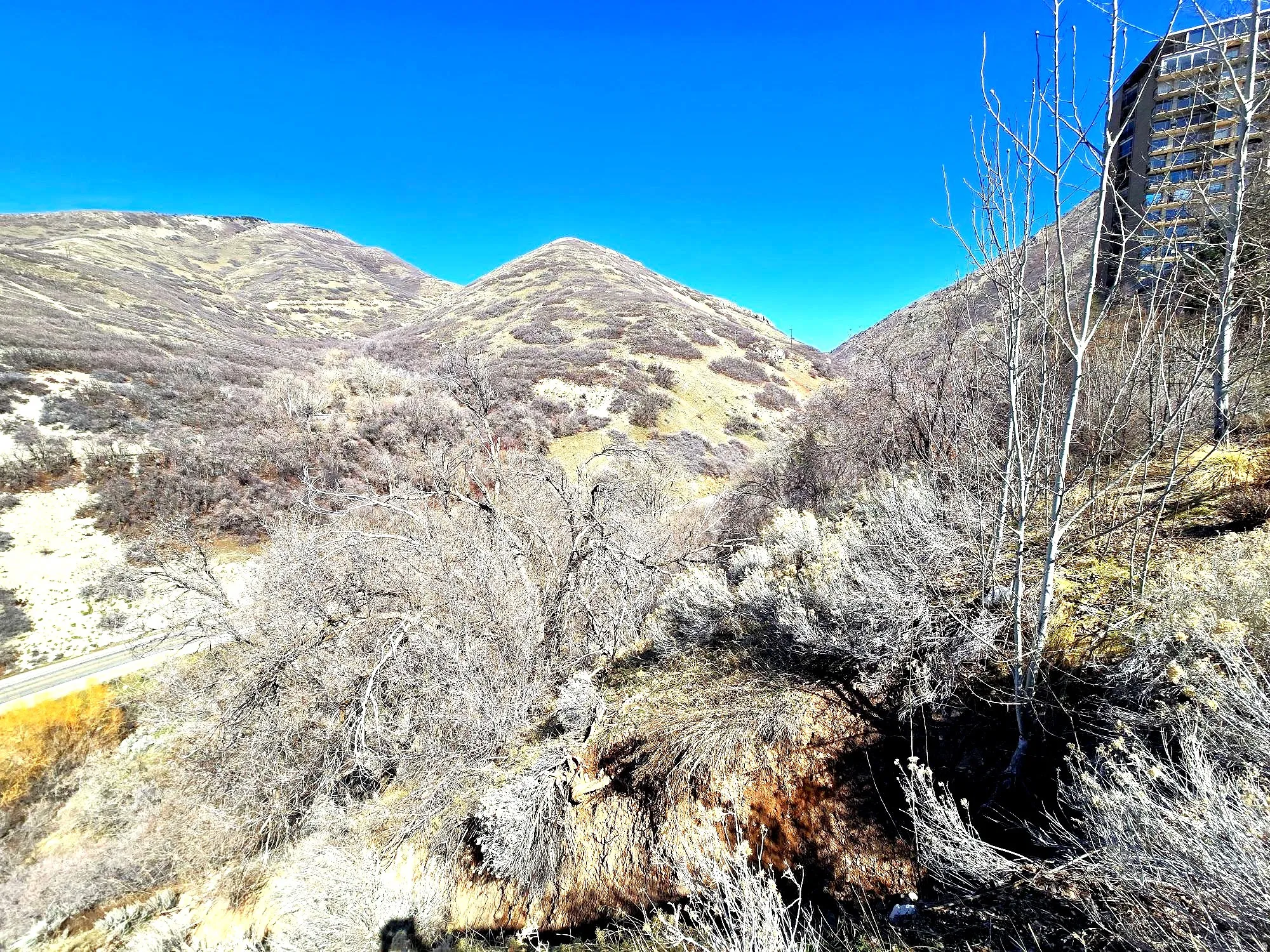 View of looking up Emigration Canyon