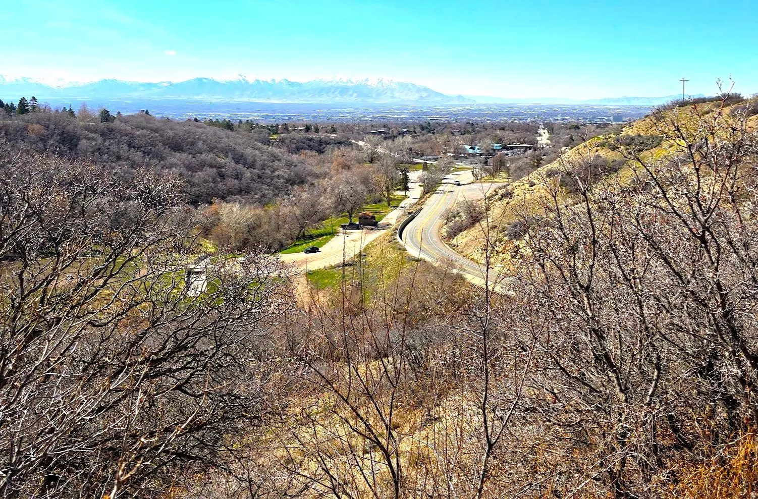 Valley views from back yard.