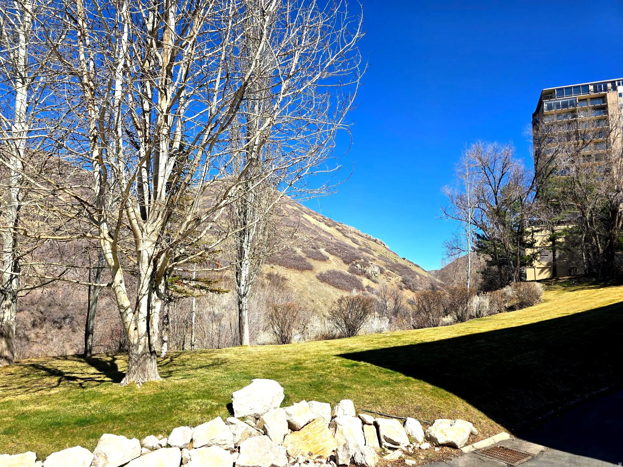 View of looking up Emigration Canyon