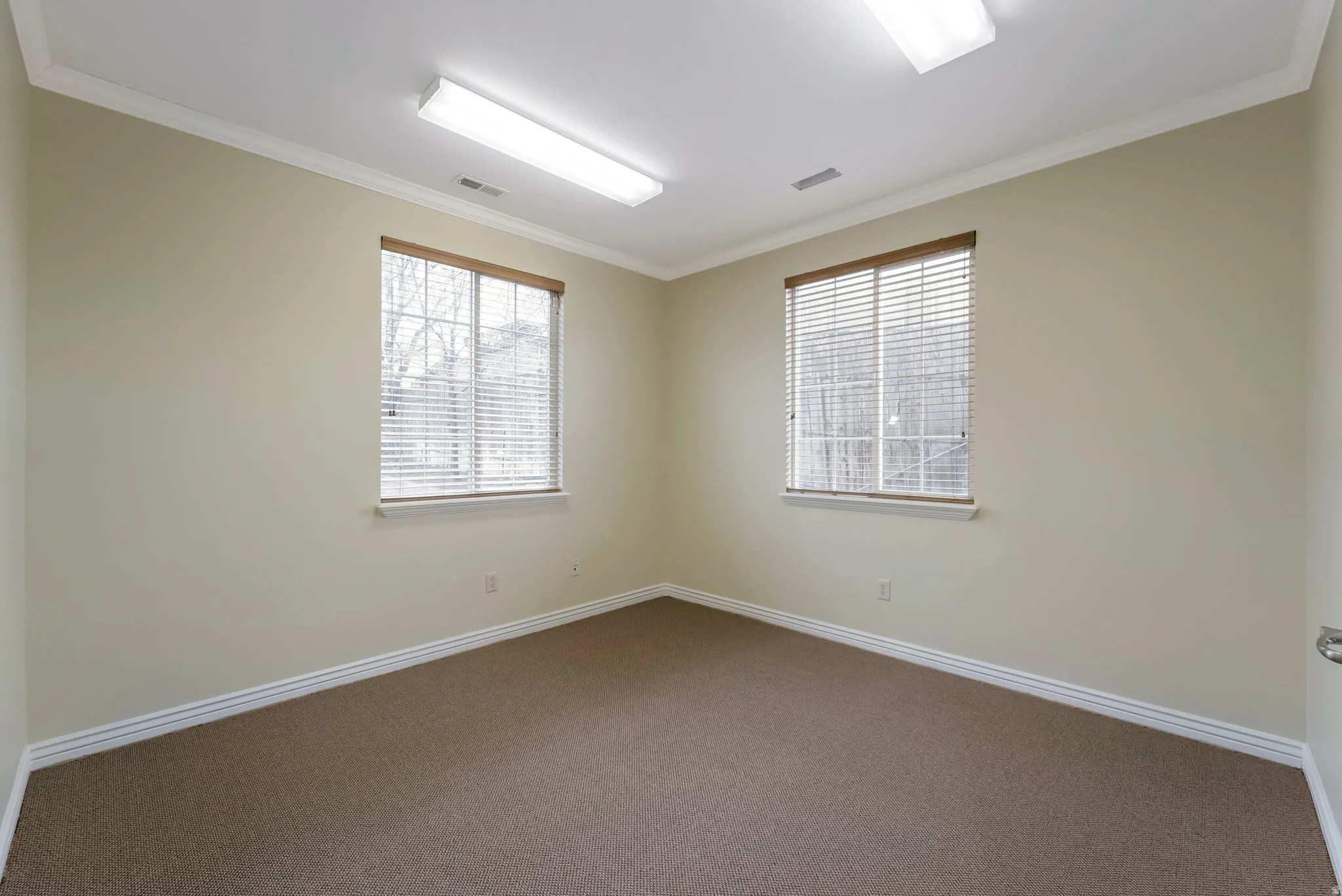 Empty room with crown molding and dark carpet