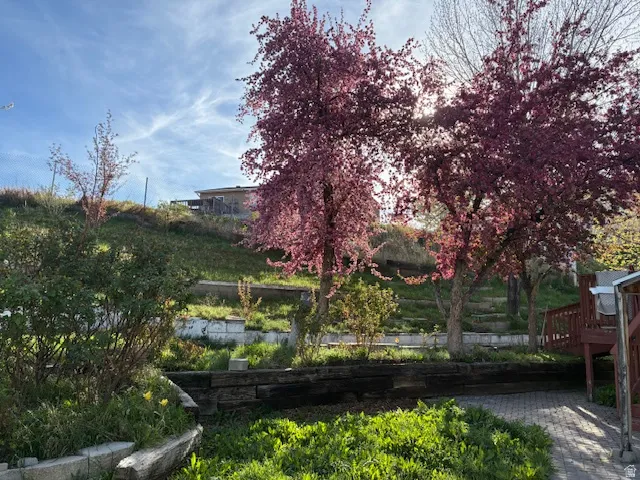 View of property's community featuring a deck