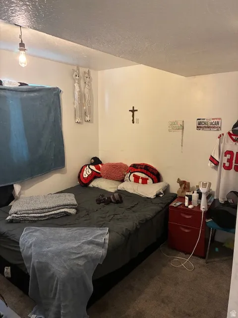 Bedroom with dark carpet