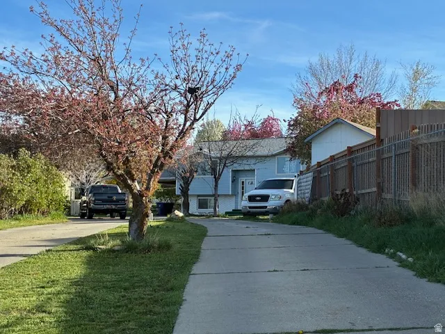 View of yard featuring concrete driveway