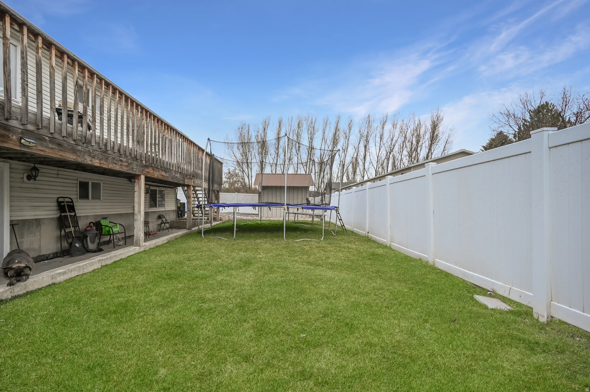 View of grassy yard with a trampoline
