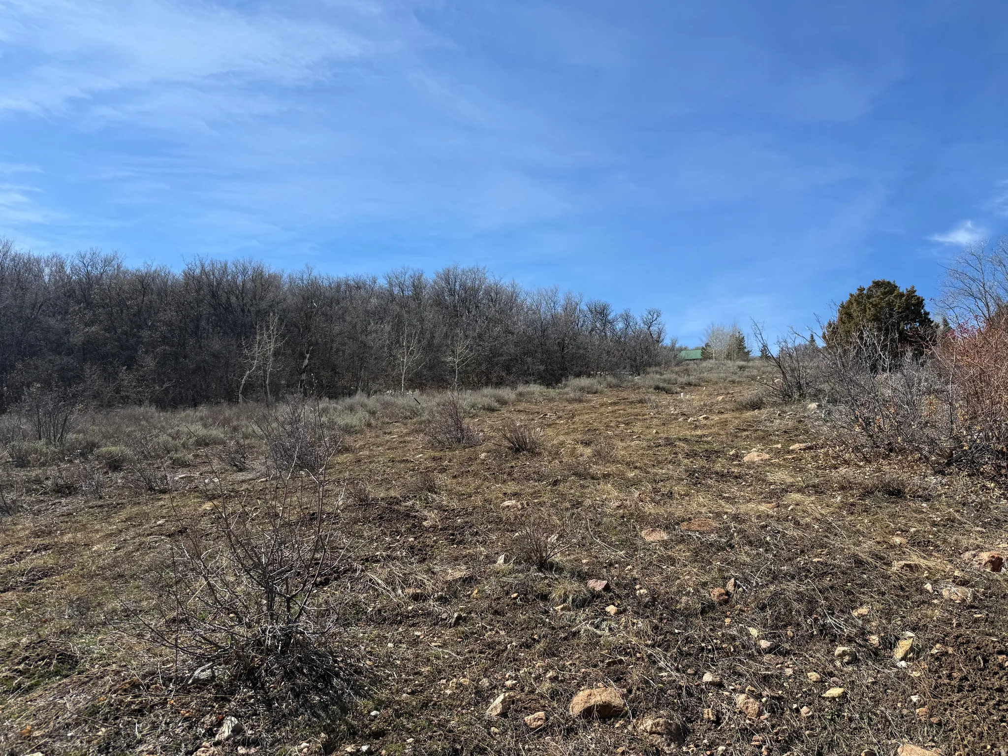 View of undeveloped land with rural landscape