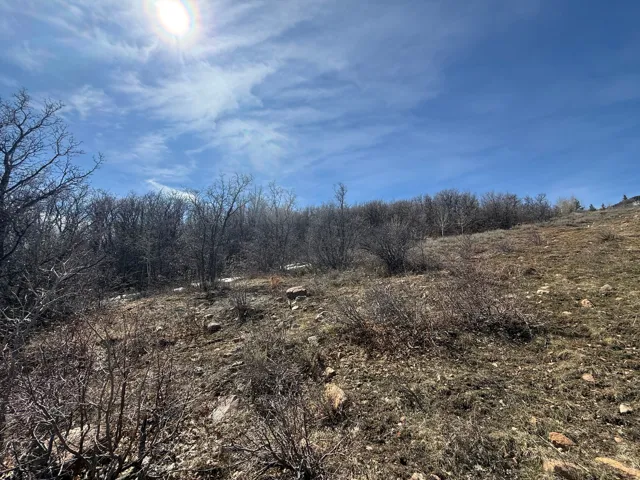 View of nature