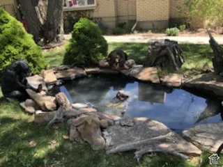 Exterior view of a garden pond